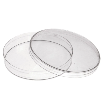 Hộp lồng Petri φ10 Wertlab